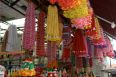 Roll 6IMG_0519.jpg